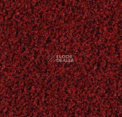 Грязезащитные покрытия Forbo Coral Brush 5723 Cardinal Red фото 1 | FLOORDEALER